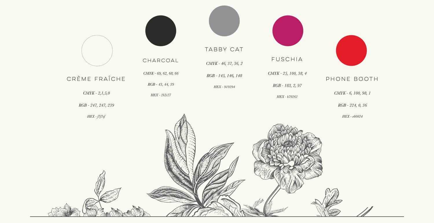 wild roots brand color palette and black line illustrations of flowers